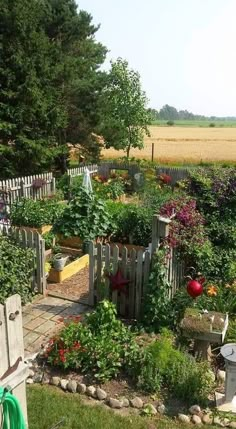 a garden with lots of different types of flowers and plants growing in the area next to it