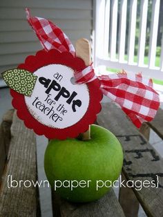 an apple sitting on top of a wooden bench with a red and white checkered ribbon