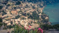 an aerial view of a city and the ocean with pink flowers in front of it