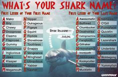 an image of what's your shark name?