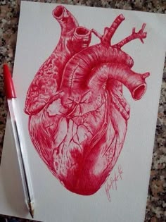 a drawing of a heart on paper next to a pen and inking utensil