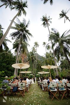 a group of people sitting under umbrellas on top of a lush green field next to palm trees