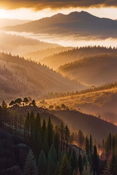 the sun shines brightly through the foggy hills and trees in the valley below