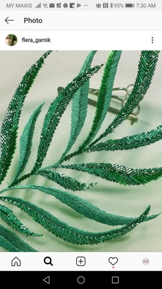 a close up of a green plant on a white cloth