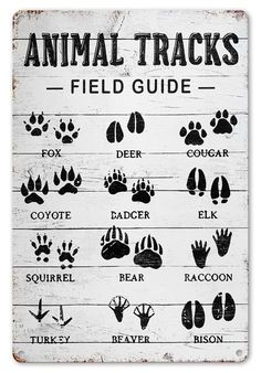 an animal track guide is shown on a white wooden sign with the words, animals and their tracks