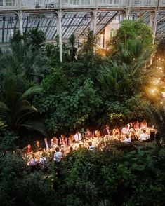 a large group of people are sitting in the middle of a forest with lights on them