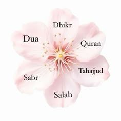 the names of different flowers on a white background