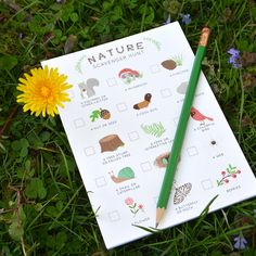 a notebook with nature stickers on it and a yellow flower in the grass next to it