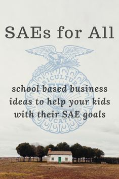 an advertisement for saes for all school based business ideas to help your kids with their sae goals