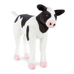 a black and white cow with pink feet on a white background is standing in front of the camera