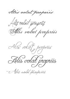 some type of calligraphy written in cursive writing, with different font styles