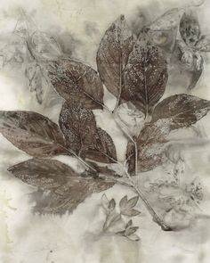 a drawing of leaves and flowers on a white paper with watercolor paint over it