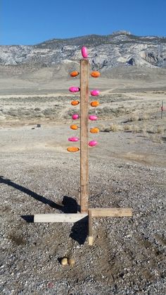 a wooden pole with pink and orange donuts on it in the middle of nowhere