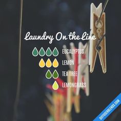 Laundry On the Line - Essential Oil Diffuser Blend Witchy Oils, Laundry On The Line, Mesh Puff Sleeve Top, Scent Combinations, Scent Blends, Doterra Diffuser Blends, Essential Oil Combinations, Essential Oil Diffuser Blends Recipes, Young Living Essential Oils Recipes