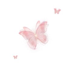 three pink butterflies flying in the air