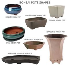 different types of bonsai pots shapes and sizes