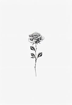 a black and white drawing of a rose