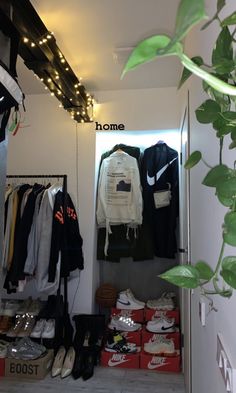 a closet with clothes and shoes hanging on the wall, next to a plant in front of it