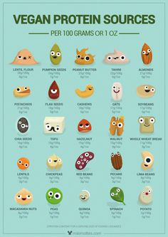 Eating Protein, Plant Based Protein Sources, Vegan Protein Sources, Food Infographic, Resep Diet, Eating Breakfast, High Protein Vegan, Happy Kitchen, Vegan Nutrition