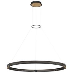 a circular light fixture with two lights hanging from it's center and the bottom