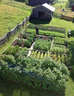 an aerial view of a vegetable garden in the country