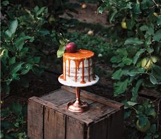 a cake sitting on top of a wooden box in front of some bushes and trees