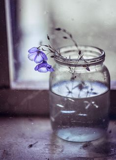 a glass jar filled with water and purple flowers