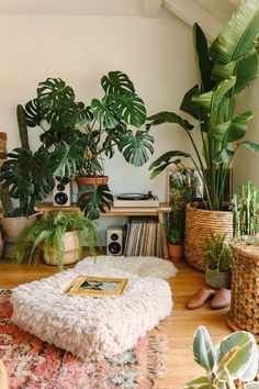 a living room filled with lots of potted plants