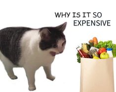 a black and white cat standing next to a shopping bag filled with vegetables, fruits and condiments