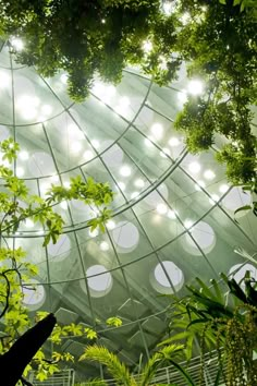 the inside of a glass dome with lots of light shining through it and trees in front