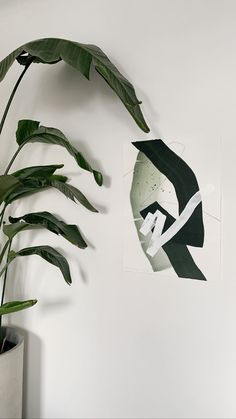 a plant in a pot next to a white wall with a black and white painting on it