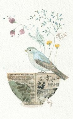 a watercolor painting of a bird sitting on top of a newspaper with flowers in the background