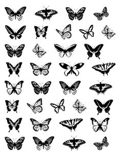 black and white butterflies are shown in the shape of a square, which has been drawn by