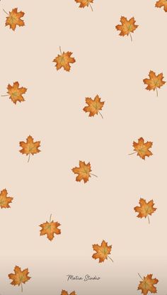 Autumn Wallpapers For Phone, Fall Wallpaper Aesthetic Iphone Simple, Iphone Wallpaper Aesthetic Halloween, Cute Orange Wallpaper Iphone, Autumnal Phone Wallpaper, Autumnal Wallpaper Iphone, Wallpaper Autumn Iphone