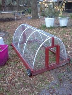 a small chicken cage sitting in the middle of a yard