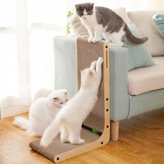 two cats standing on top of a cat scratch board in front of a couch and another cat looking at it