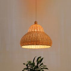 Handcrafted Japanese Bamboo Pendant Light in Beige Rattan Style, Japanese Bamboo, Bamboo Pendant Light, Chandelier Lighting Fixtures, Surf Shack, Beige Style, Fluorescent Light