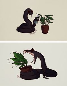 two pictures with plants in them and one has a snake on the potted plant