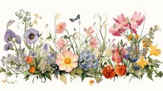 an image of flowers and butterflies on a white background