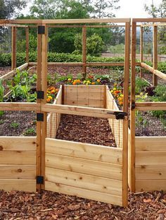 an outdoor garden area with raised wooden planters and plants growing in the ground, surrounded by mulch