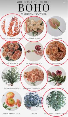 an info sheet with different types of flowers and their names in red circles on it