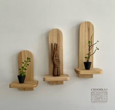 three wooden shelfs with plants on them