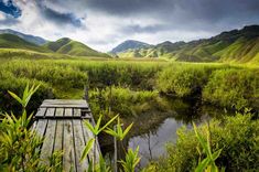 a wooden dock sitting in the middle of a lush green field