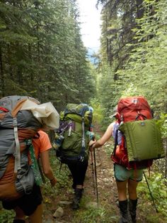 two people hiking in the woods with backpacks on their back and one person walking behind them