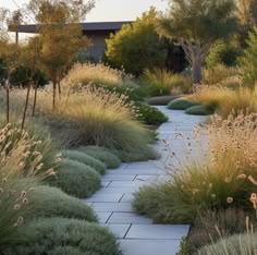 a garden with lots of different types of plants