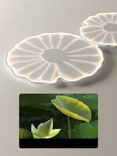 there are two lights that look like lotus leaves