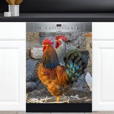 two roosters standing next to each other in front of an oven