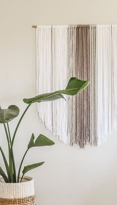 a plant in a basket next to a wall hanging