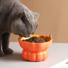 a gray cat eating food out of an orange bowl