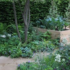 a garden filled with lots of different types of plants and flowers next to some trees